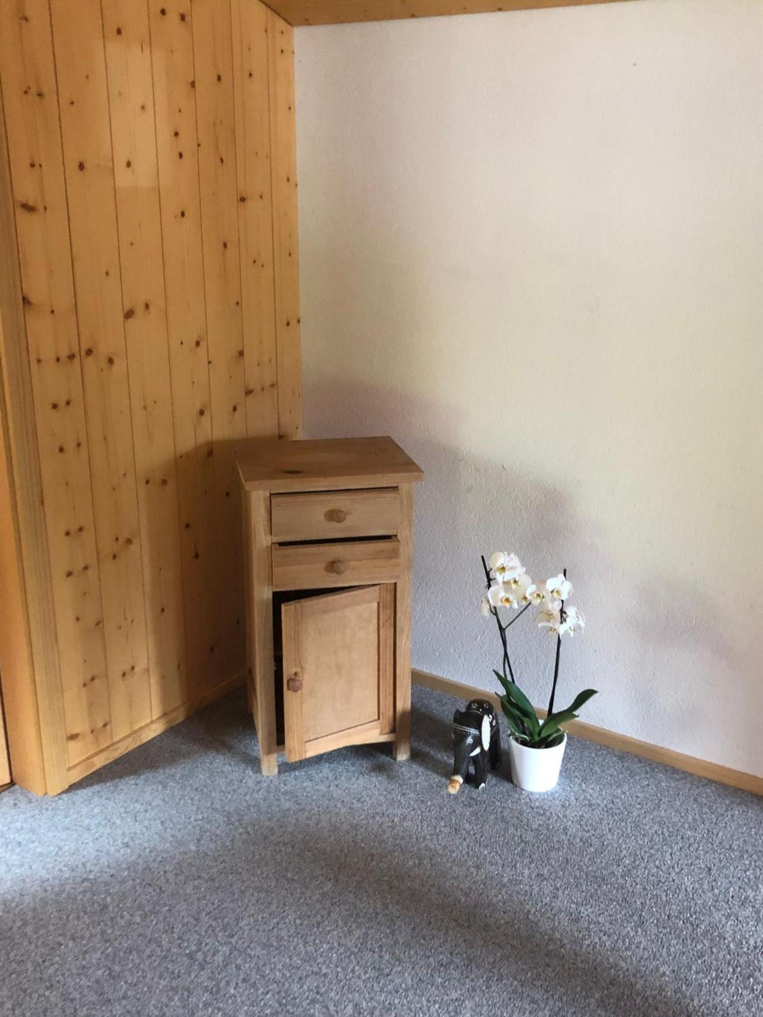 Mountain Oasis Apartment Kandersteg-Adelboden Kandergrund Εξωτερικό φωτογραφία